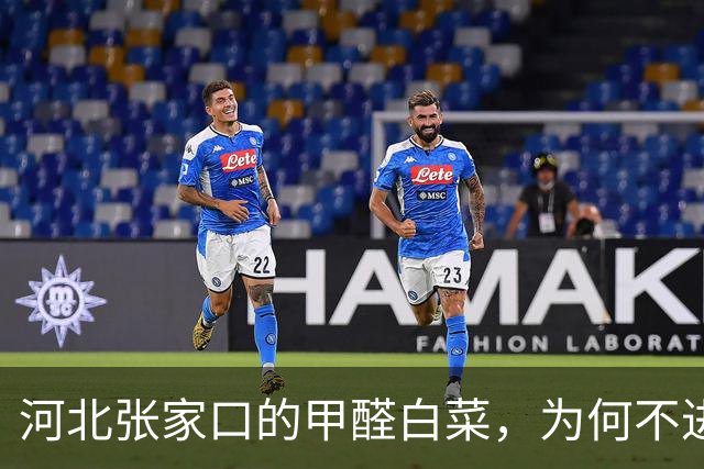 河北张家口的甲醛白菜，为何不进北京？